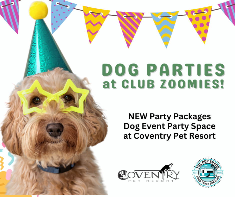 Coventry Pet Resort _ Club Zoomies for Dogs Flyer